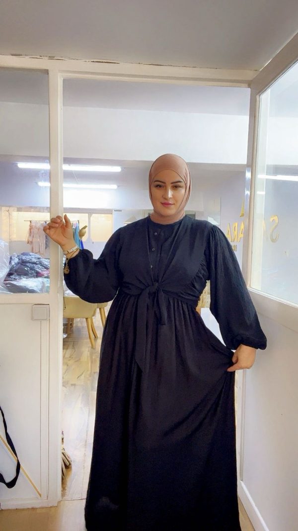 Ensemble AMIRA